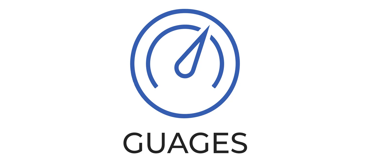 GAUGES RS3 8Y